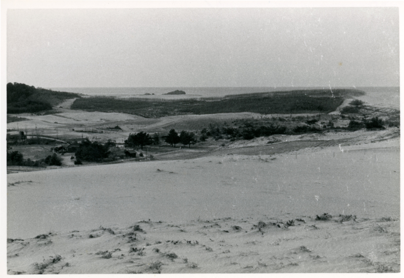 1965年　整地前の圃場全景