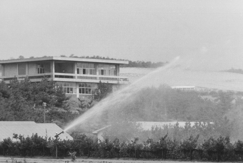 1972年頃　ファローガン試験（水文のハウスが既に建っている）