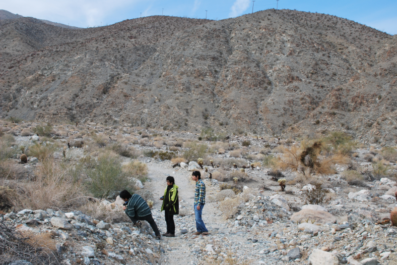 カリフォルニア大学リバーサイド校Boyd deep canyon desert Research Centerでの調査