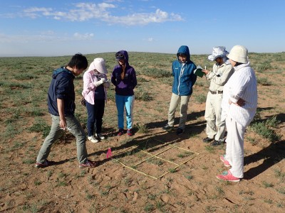 Mandal gobi での植生調査