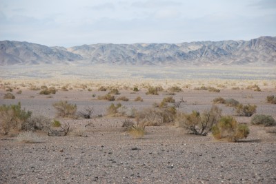 Great Gobi A 厳重保護区の植生景観