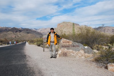 Sabino Canyonの砂漠植生