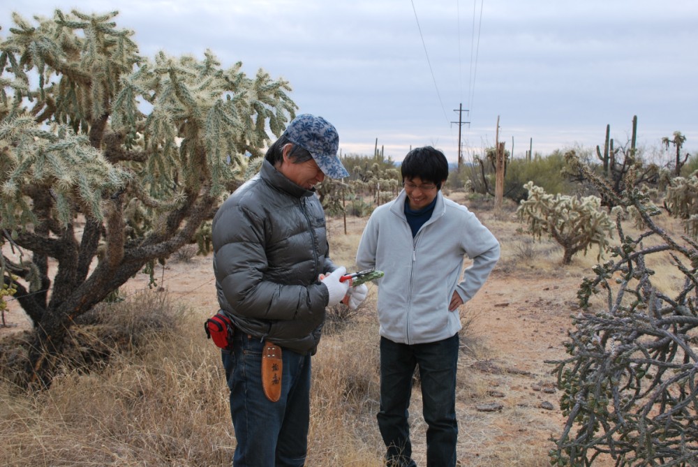 Sonoran desert でサボテンのサンプリング