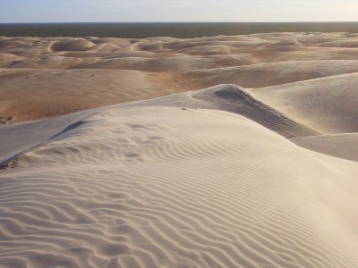 Rio Grande do Norte州北部の海岸砂丘2