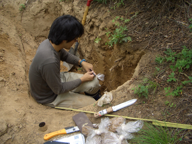 延安南部の公路山調査地で土壌調査を行う館野博士（京大）