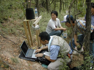 雨量計のデータを回収する大槻博士