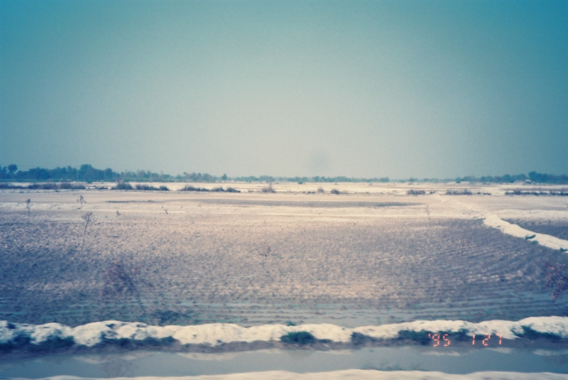 湛水害・塩害地,