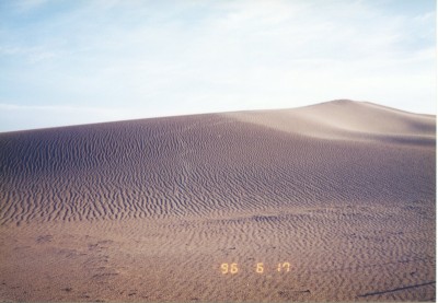 流動砂丘の風紋