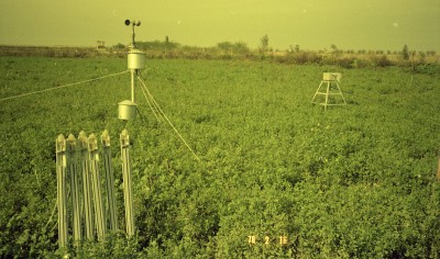 イラン４　気象観測圃場