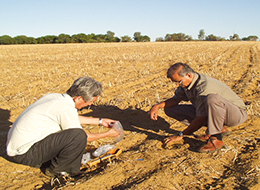 25高透水性土壌に対する人工ゼオライトの施用効果に関する研究