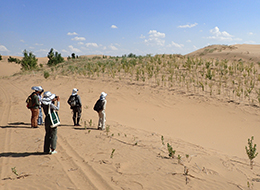 33黄砂プロジェクトでの黄砂発生源対策に関する調査（中国クブチ砂漠）