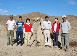 34黄砂プロジェクトでの黄砂発生源対策に関する調査（モンゴル）