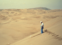 6中国内蒙古自治区毛烏素沙地での砂漠化研究