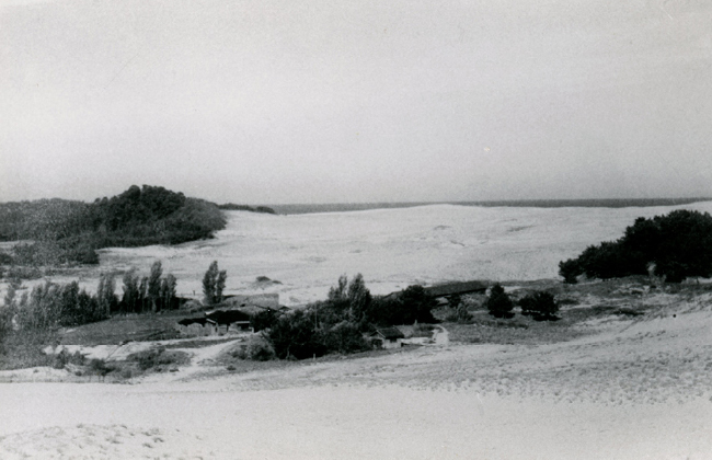砂丘利用研究施設開設以前の原砂丘研用地の景観